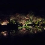 佐賀県御船山楽園夜の紅葉まつり！ライトアップ期間や所要時間を紹介
